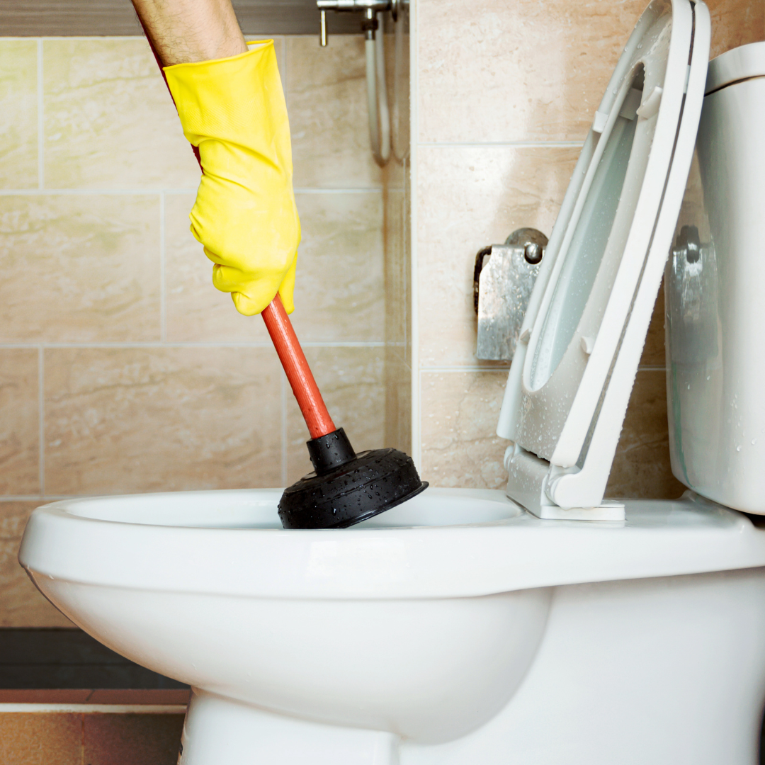 Clogged Toilet (1) Pressure Washing