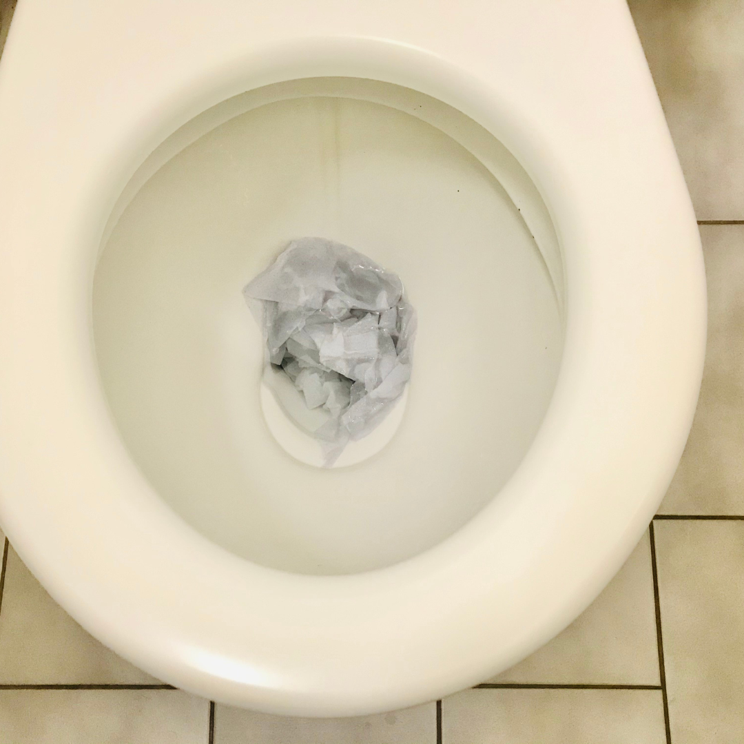 Clogged Toilet (3) Pressure Washing