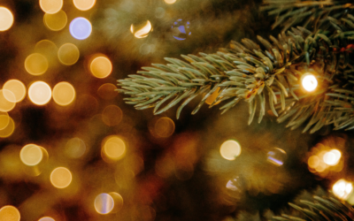 A Holiday Message from True Flow Services: Keep the Cheer, Avoid the Leaks