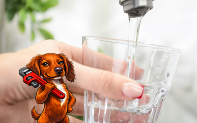 Do I Really Need a Water Filter or Softener?