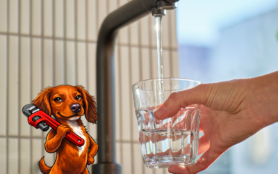 Reverse Osmosis vs Carbon vs Pleated vs Melt Blown Filters